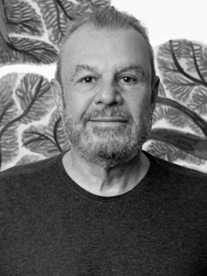 Antonio Lopes Balau Filho (RO)